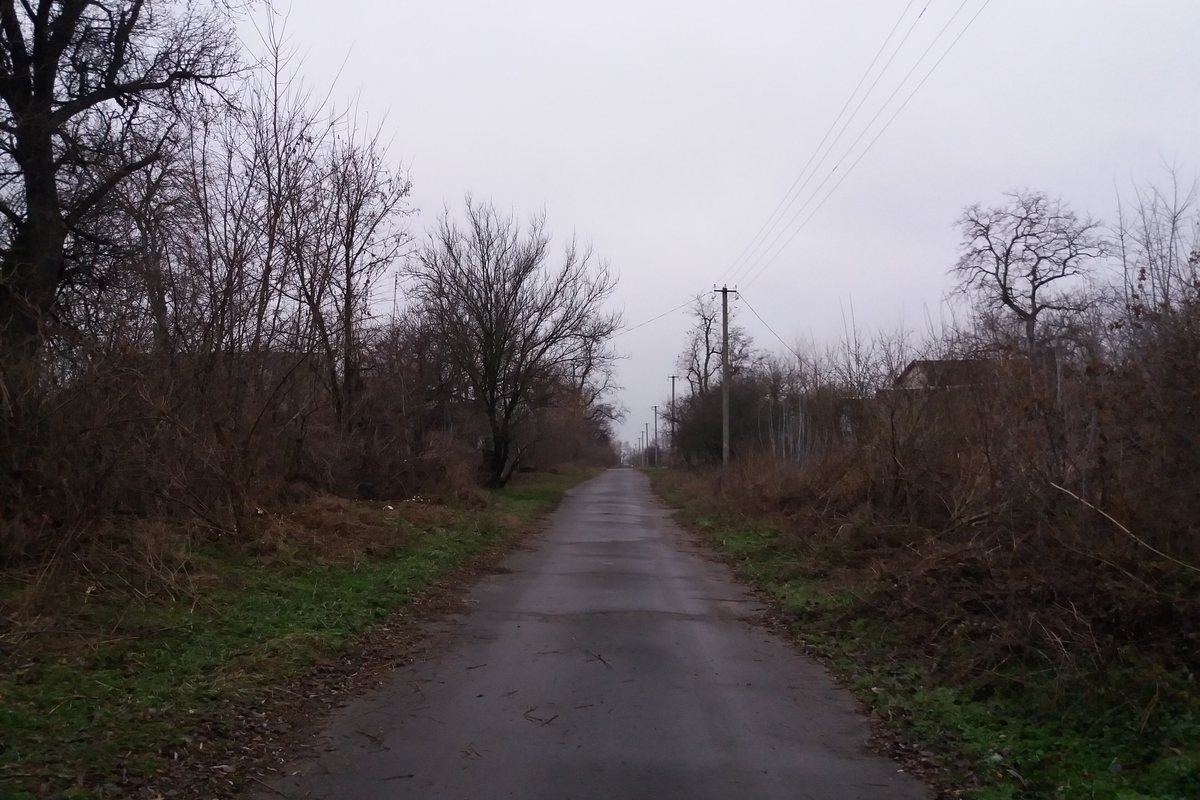 Дорога к участку в ноябре: сезон закрыт